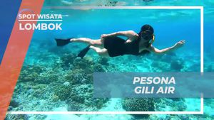 Snorkeling Seru di Bawah Laut Gili Air, Lombok