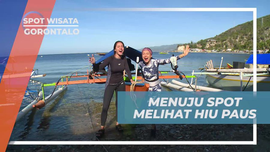 Menelusuri Laut Gorontalo untuk Melihat Hiu Paus di Pantai Botubrani