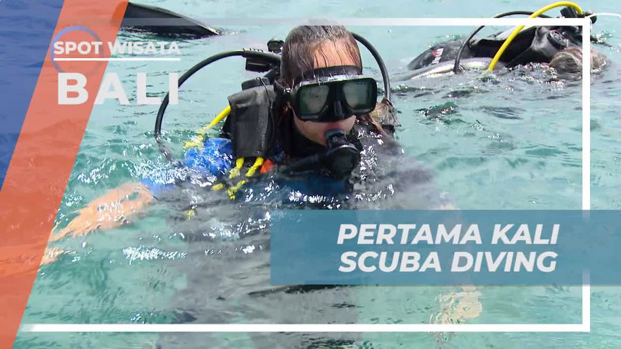 Coba Sensasi Scuba Diving Pertama Kali di Tanjung Benoa, Bali