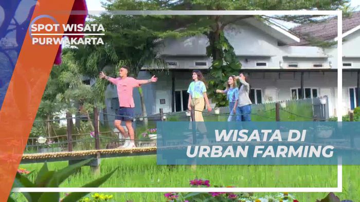 Eksplorasi Seru di Urban Farming, Purwakarta