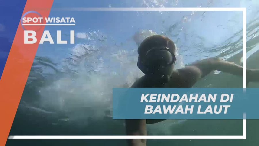 Menikmati Keindahan Bawah Laut Pantai Bingin, Bali