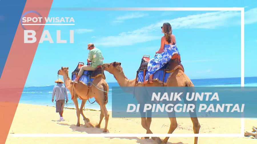 Menunggangi Unta di Pesisir Pantai Sawangan, Nusa Dua, Bali