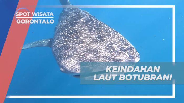 Menelusuri Keindahan Laut yang Jernih di Pantai Botubrani, Gorontalo