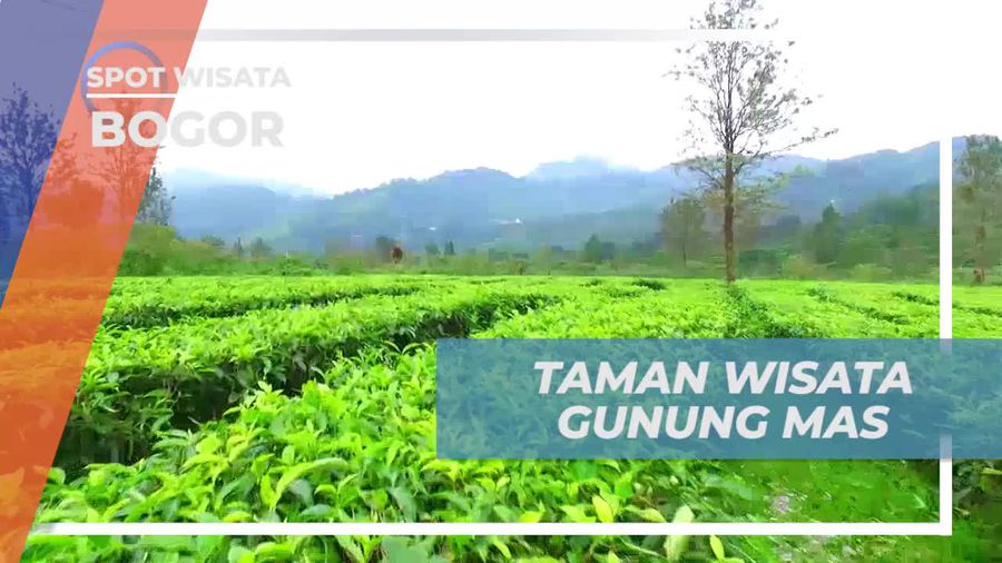 Menikmati Keindahan Taman Wisata Gunung Mas, Bogor