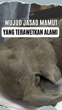 Video: Jasad Mamut yang Terawetkan Sempurna di Lapisan Tanah Beku Siberia