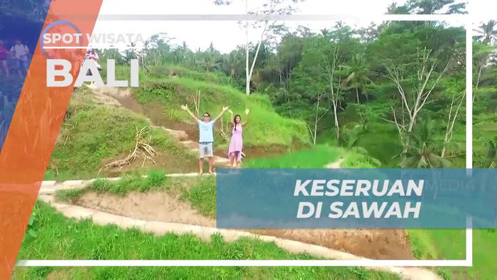 Menikmati Keindahan Teras Sawah Tegalalang, Bali