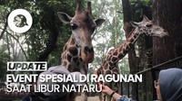 Video: Yang Menarik di Ragunan Selama Libur Natal dan Tahun Baru!