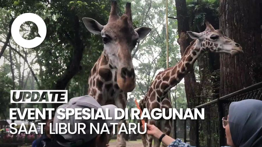 Video: Yang Menarik di Ragunan Selama Libur Natal dan Tahun Baru!