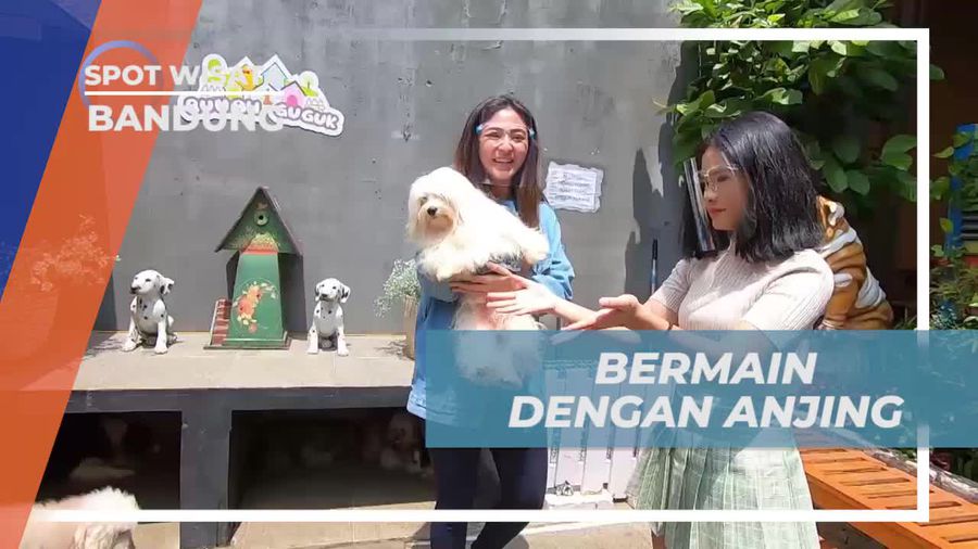 Nikmati Keseruan Bermain dan Memberi Makan Anjing di Bandung
