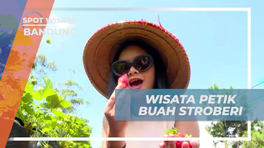 Tempat Wisata Keluarga dengan Strawberry Segar di Bandung