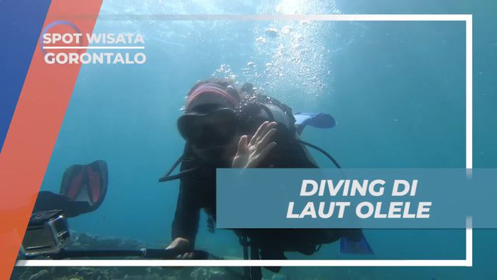 Selami Keindahan Laut Olele dengan Diving, Gorontalo
