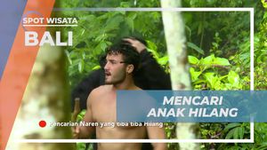 Mencari Anak yang Hilang di Hutan Dekat Air Terjun Bali