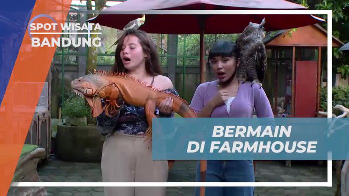 Bermain Seru di Farmhouse, Bandung
