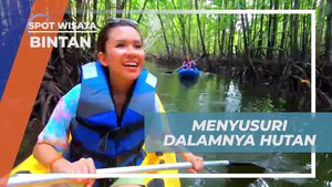 Menyusuri Sungai Kecil di Dalam Hutan Mangrove Bintan