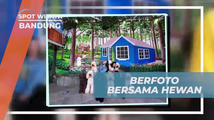 Bersantai dan Berfoto Bersama Hewan di Rumah Guguk, Bandung