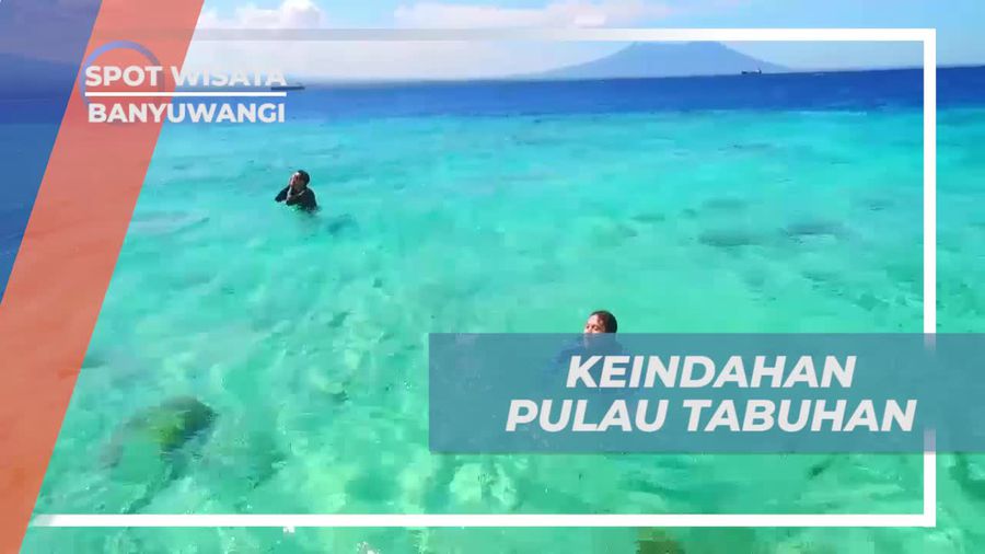 Nikmati Keindahan Pulau Tabuhan dengan Diving, Banyuwangi
