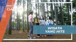 Kunjungi Wisata Hits di Wana Wisata Pokland, Cianjur