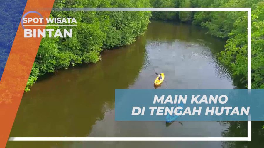 Menelusuri Hutan Mangrove dengan Perahu Kayak di Bintan