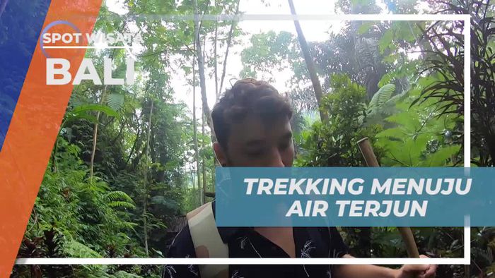 Trekking Seru Menuju Air Terjun yang Menakjubkan di Bali
