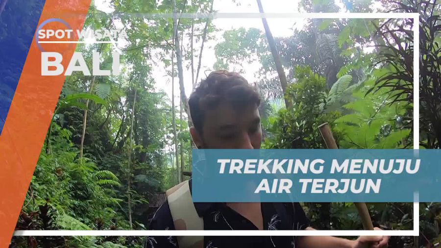 Trekking Seru Menuju Air Terjun yang Menakjubkan di Bali