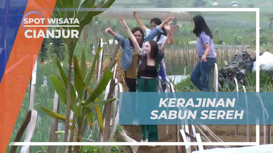 Belajar Membuat Sabun Sereh di Desa Sarongge, Cianjur