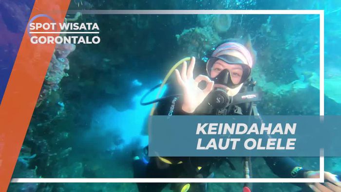 Nikmati Keindahan Laut Olele Saat Diving, Gorontalo