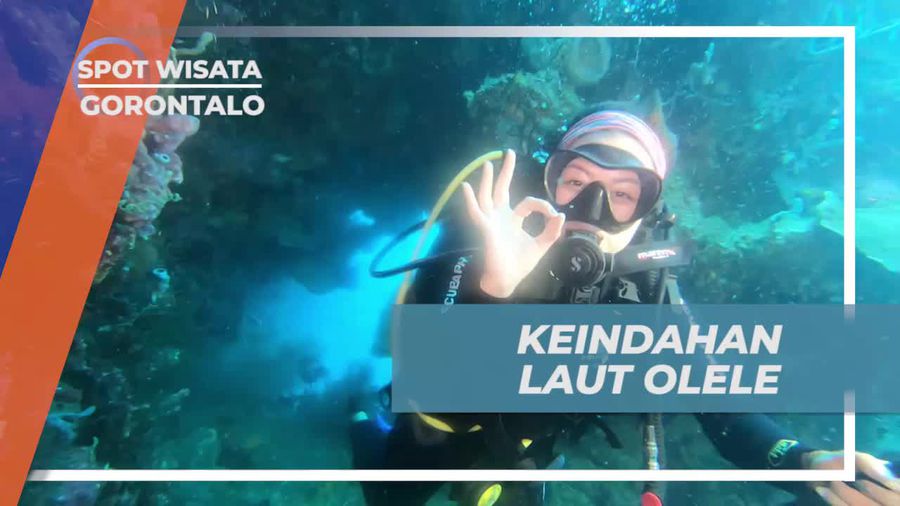 Nikmati Keindahan Laut Olele Saat Diving, Gorontalo