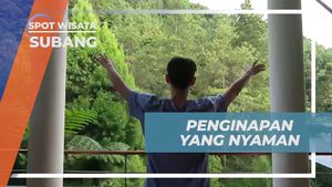 Bersantai di Kolam Renang Sambil Menikmati Suasana Subang