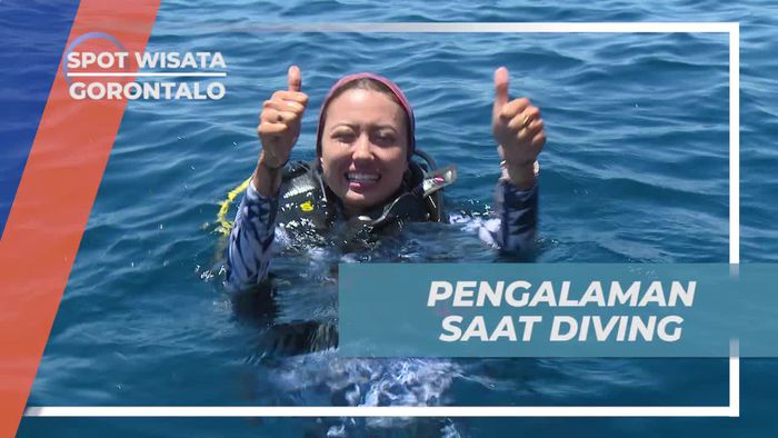 Mengungkap Pengalaman Seru saat Diving di Gorontalo