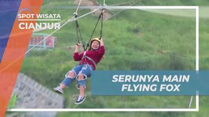 Merasakan Sensasi Seru saat Bermain Flying Fox di Cianjur