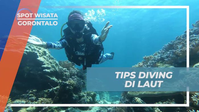 Mengenal Tips Aman saat Diving di Gorontalo