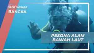 Menyelam ke Pesona Alam Bawah Laut yang Menakjubkan, Bangka