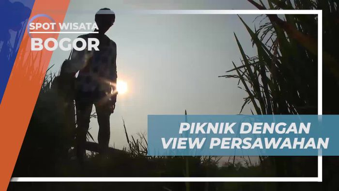 Piknik Santai dengan Pemandangan Persawahan Indah di Bogor
