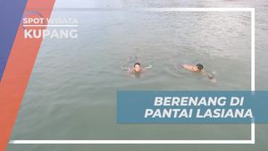 Berenang Segar di Laut Jernih Pantai Lasiana Kupang