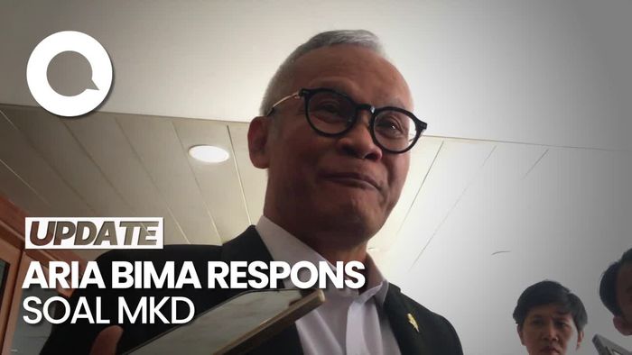 Video: Aria Bima PDIP Minta MKD Tak Latah Panggil Rieke soal PPN 12%