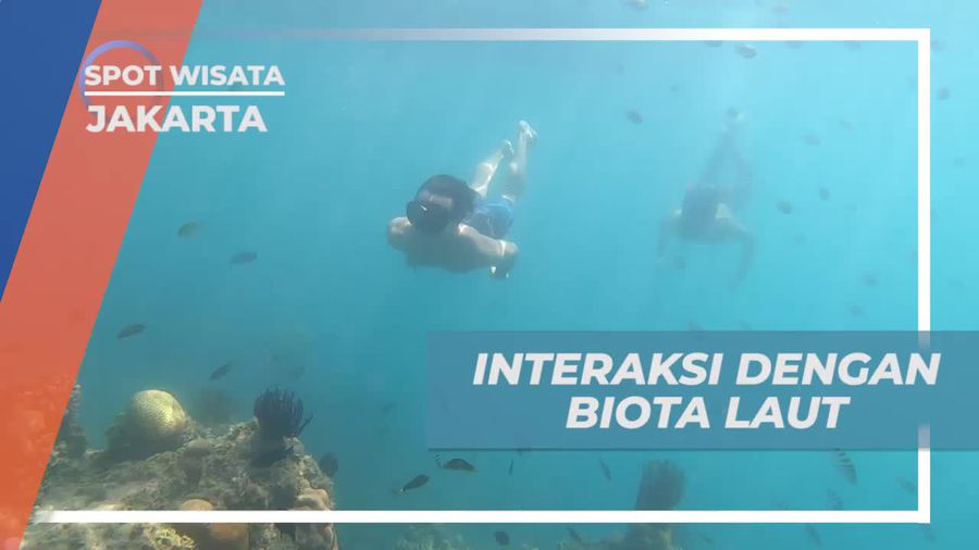 Menikmati Pesona Alam Bawah Laut di Karang Atol, Jakarta
