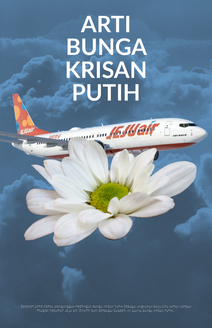 Video: Makna Bunga Krisan Putih yang Dipakai untuk Korban Tragedi Jeju Air