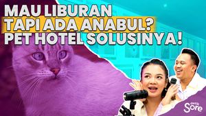 Ini Dia Cara Treatment Pet Center Yang Benar