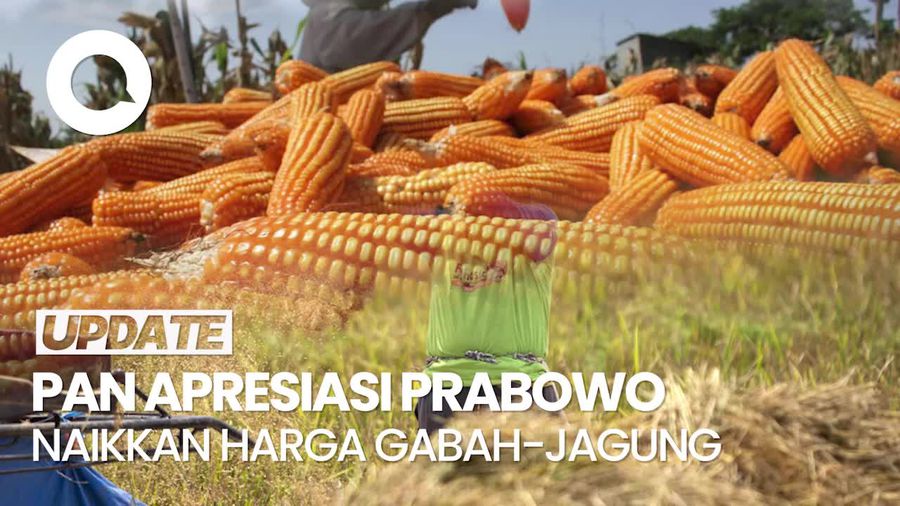 Video Prabowo Naikkan Harga Gabah-Jagung, PAN: Lompatan yang Luar Biasa