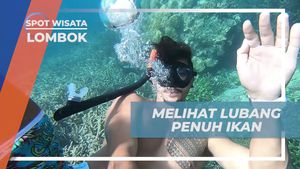 Menyelam Melihat Keindahan Lubang Berisi Ikan, Lombok