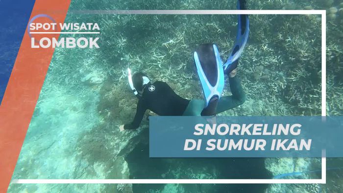 Snorkeling Menyelami Pesona Sumur Ikan, Lombok