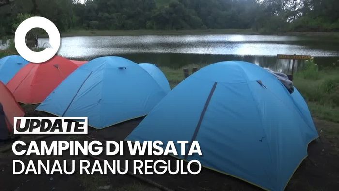 Video Camping di Danau Ranu Regulo Sambil Menikmati Burung Endemik Gunung Semeru