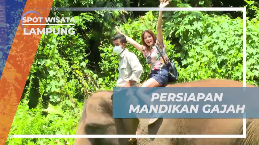 Bersiap-siap Memandikan Gajah di Lembah Hijau, Lampung