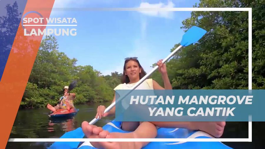 Menyusuri Hutan Mangrove Menakjubkan di Pahawang, Lampung