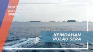 Menggali Keindahan Pulau Sepa yang Mempesona di Kepulauan Seribu