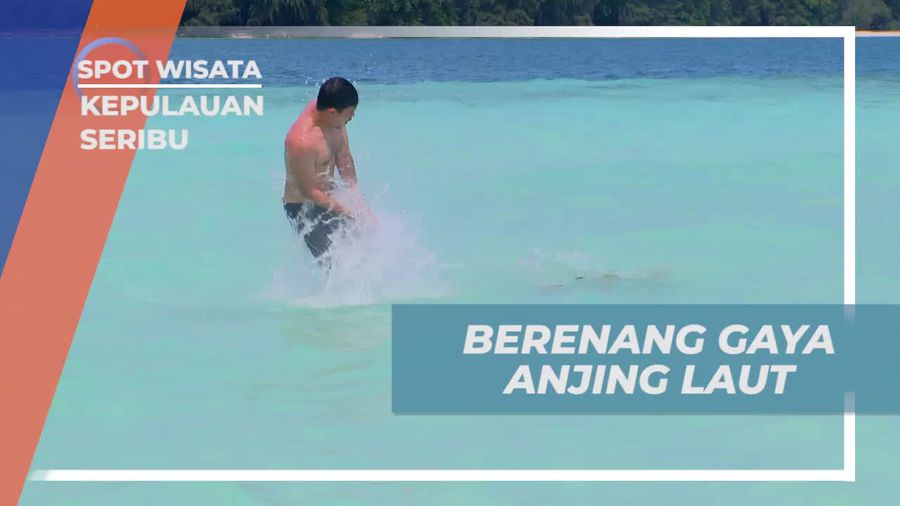 Mencoba Gaya Unik Berenang Seperti Anjing Laut di Kepulauan Seribu