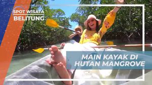 Menyusuri Hutan Mangrove dengan Kayak yang Menyenangkan di Belitung