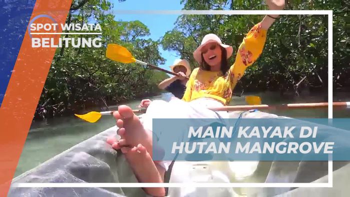 Menyusuri Hutan Mangrove dengan Kayak yang Menyenangkan di Belitung