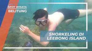 Menyelam dan Menyelusuri Indahnya Bawah Laut Leebong Island, Belitung