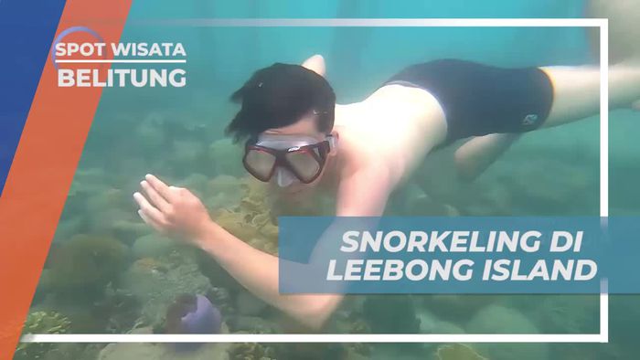 Menyelam dan Menyelusuri Indahnya Bawah Laut Leebong Island, Belitung